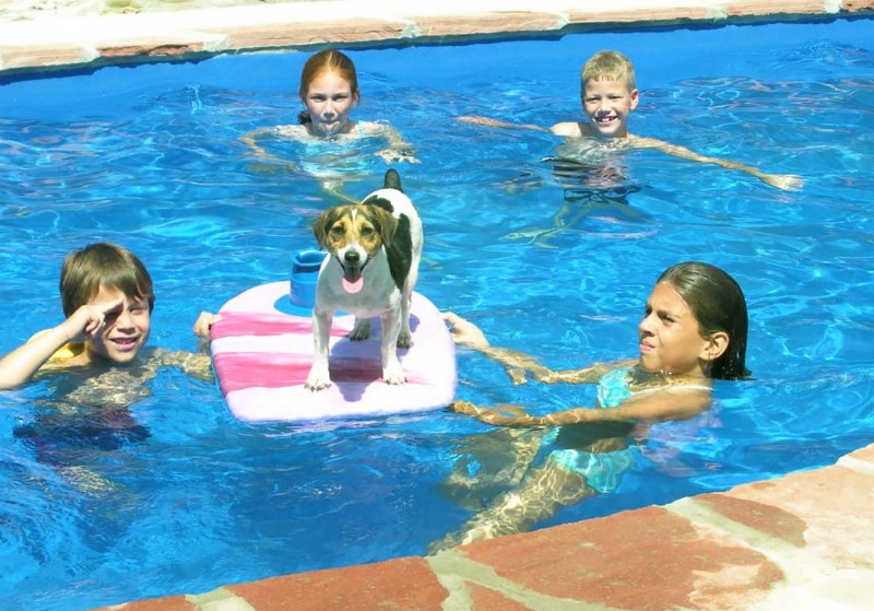 swimming pools for children